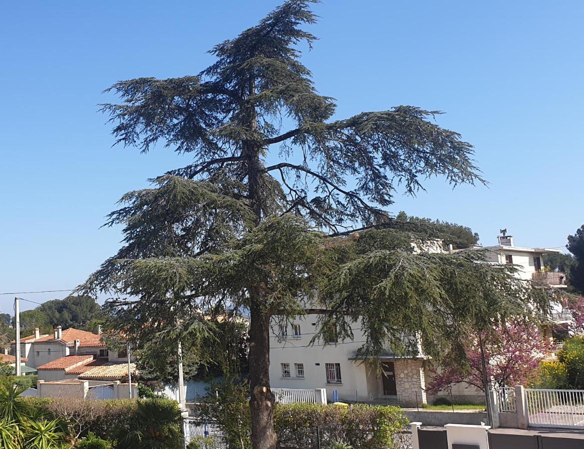 Les Vagues Bleues La Ciotat Exterior foto