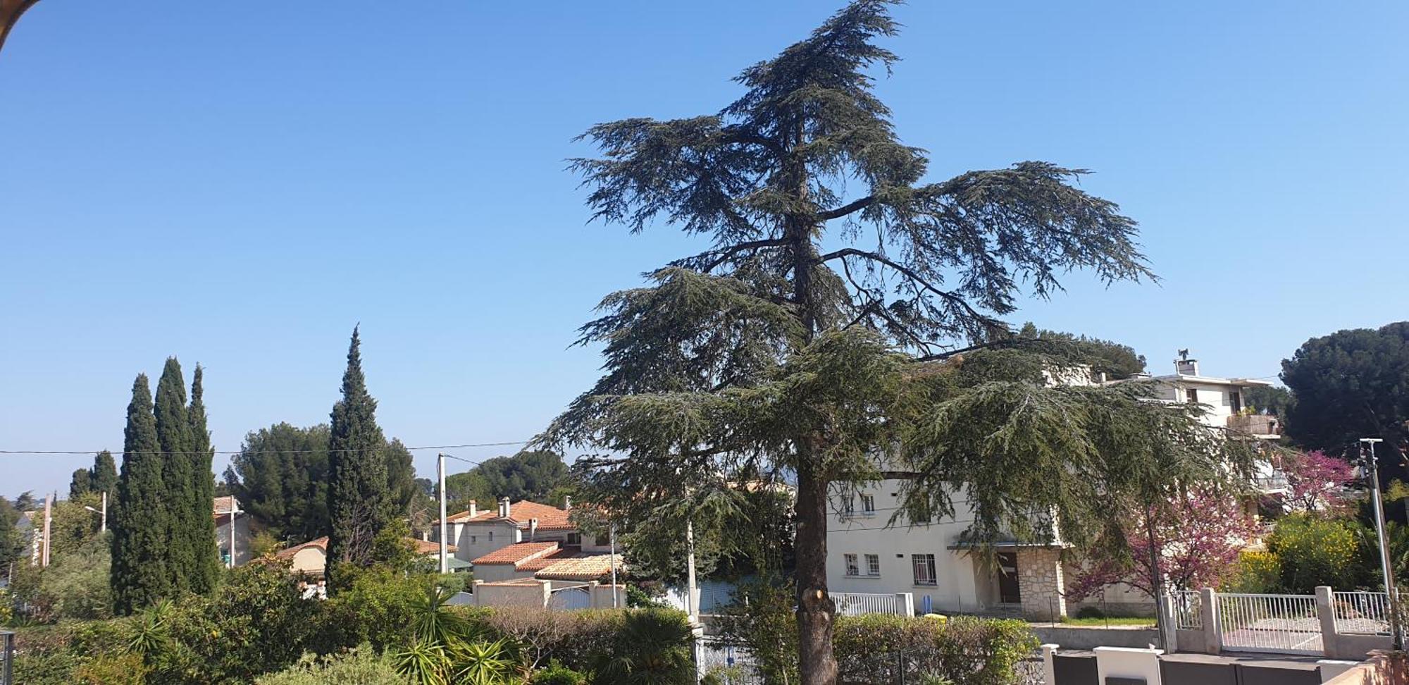 Les Vagues Bleues La Ciotat Exterior foto